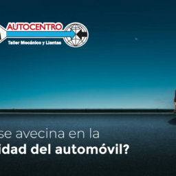Blog-SEGURIDAD- (1)